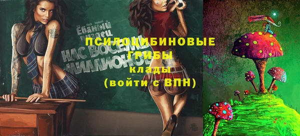 амф Няндома
