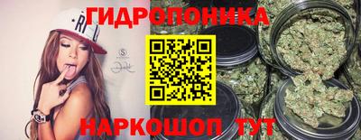 mdpv Кингисепп