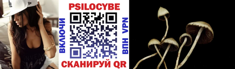 Псилоцибиновые грибы GOLDEN TEACHER  Лесной 