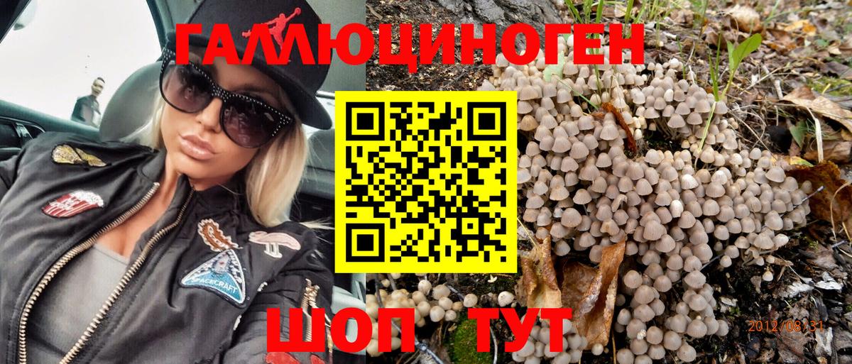 Лесной  Галлюциногенные грибы GOLDEN TEACHER  Вход с VPN  Псилоцибиновые грибы MAGIC MUSHROOMS 