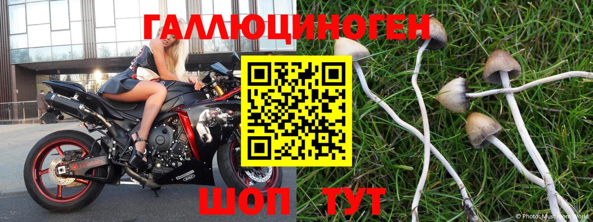Галлюциногенные грибы мицелий Лесной