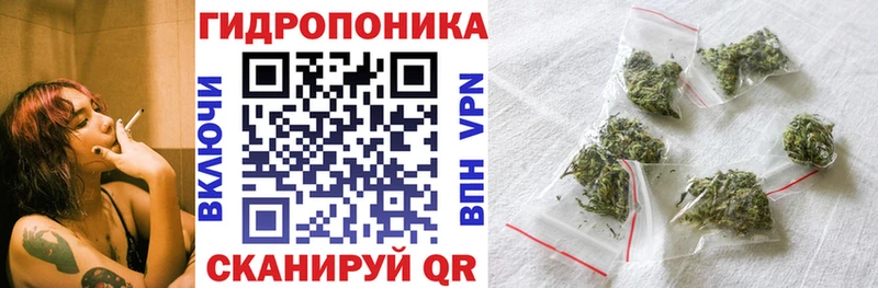 блэк спрут как войти  наркошоп  Лесной  Шишки марихуана планчик 